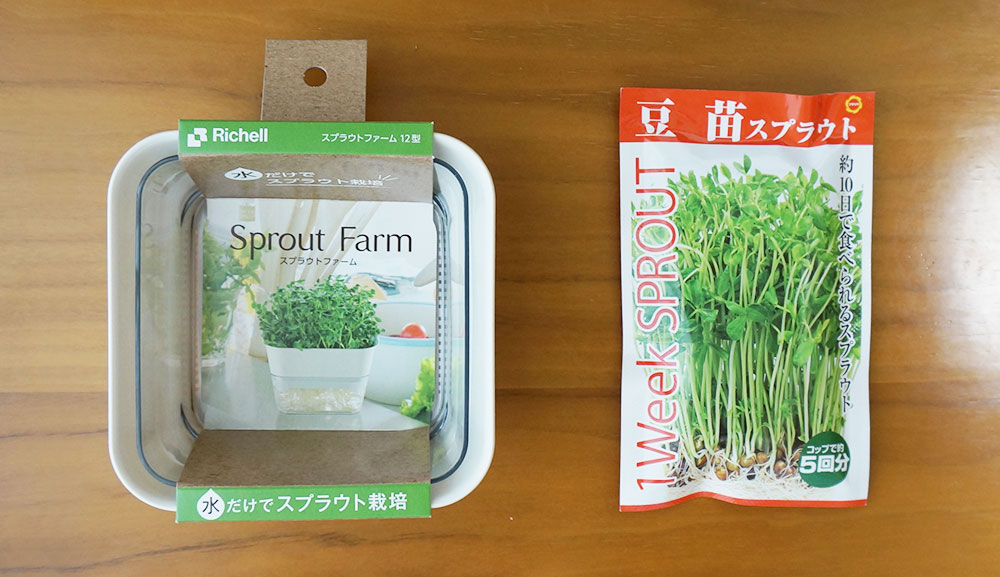 豆苗の上手な育て方