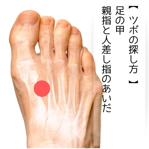 太衝 たいしょう 』 芦屋・西宮 鍼灸香春芦屋・西宮 鍼灸香春 こうしゅんはり灸専門