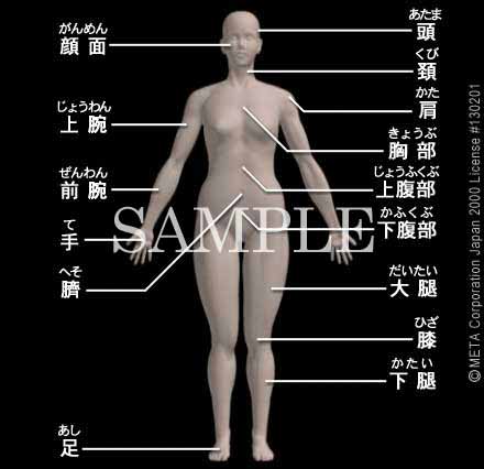 引き締まった体の作り方は？女性におすすめの運動＆食事のポイントドクターリセラ