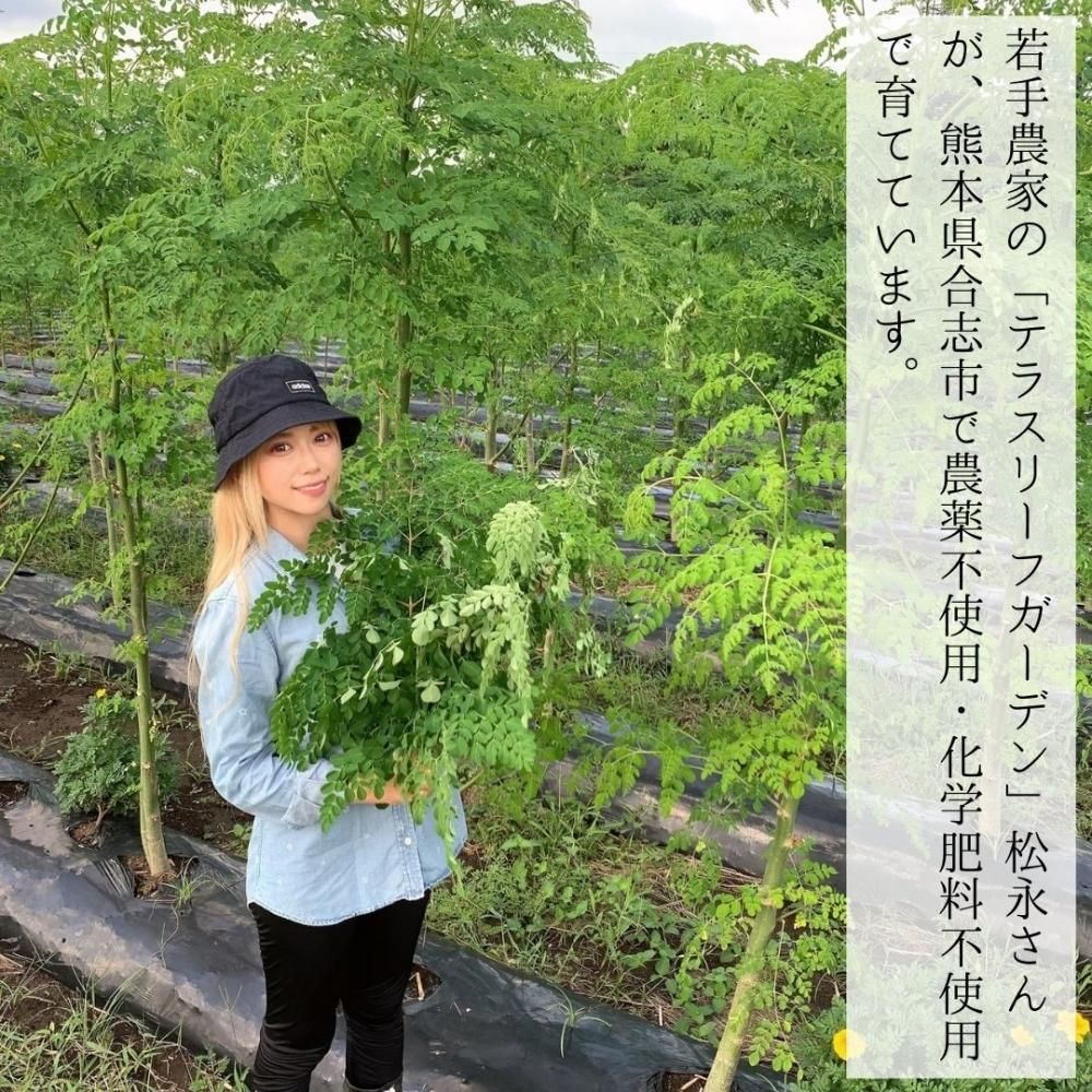 奇跡の木」モリンガ生長日記 - アグリトリオのブログ