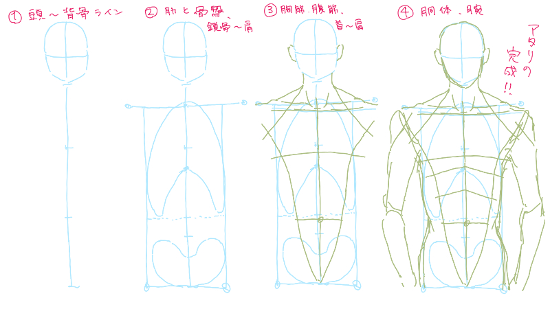 人間の体を描くときのコツのようなもの東京科学大学デジタル創作同好会traP