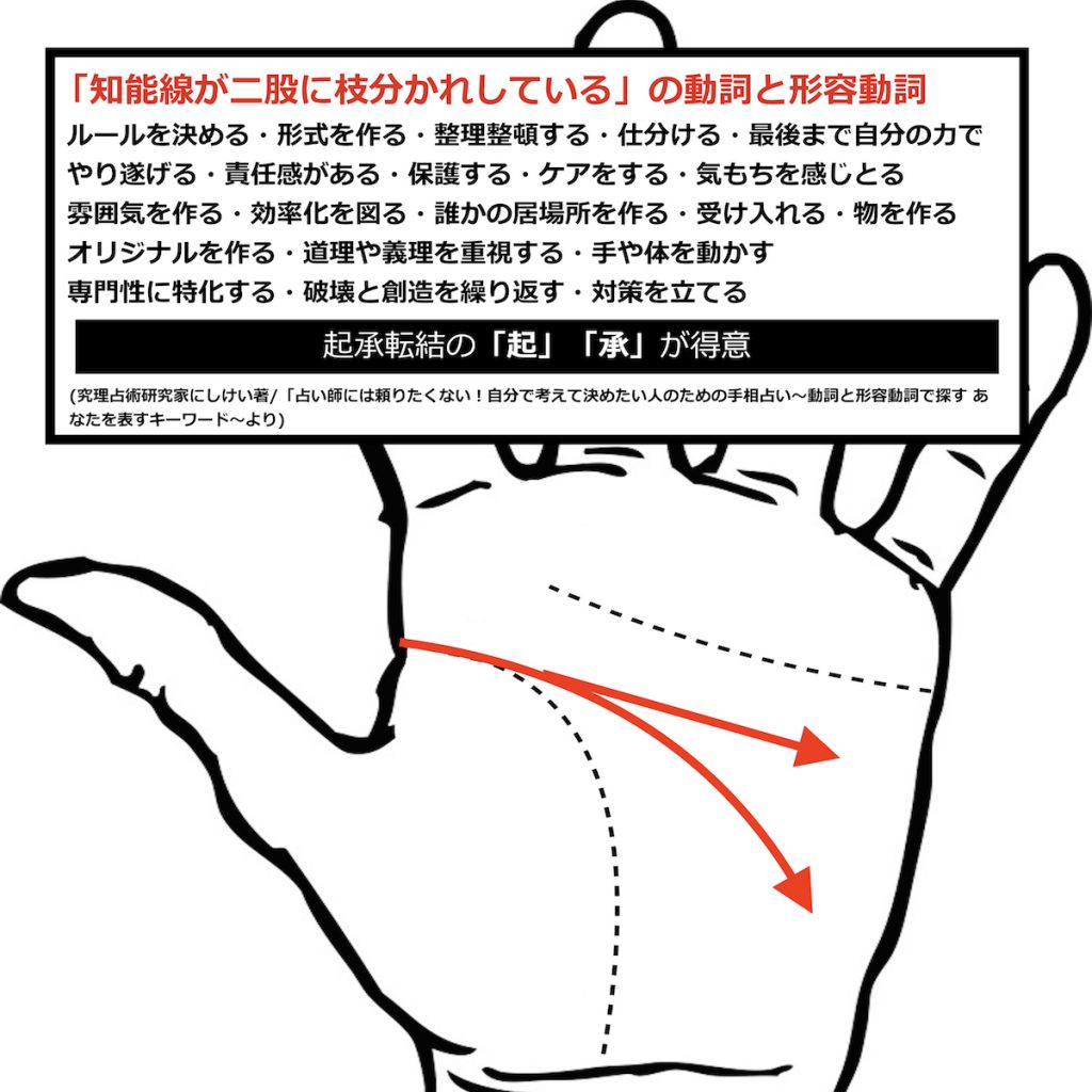 手相 急カーブの頭脳線あるある 5選 こんにちは、宝塚の占い師シュウです！ 前回まで頭脳線の長い人短い人の あるあるについてお話ししました 今回は頭脳線の曲がり具合、カーブの度合いについて 急カーブの頭脳線あるあるについて紹介します！ 頭脳線とは ？ 頭脳線は