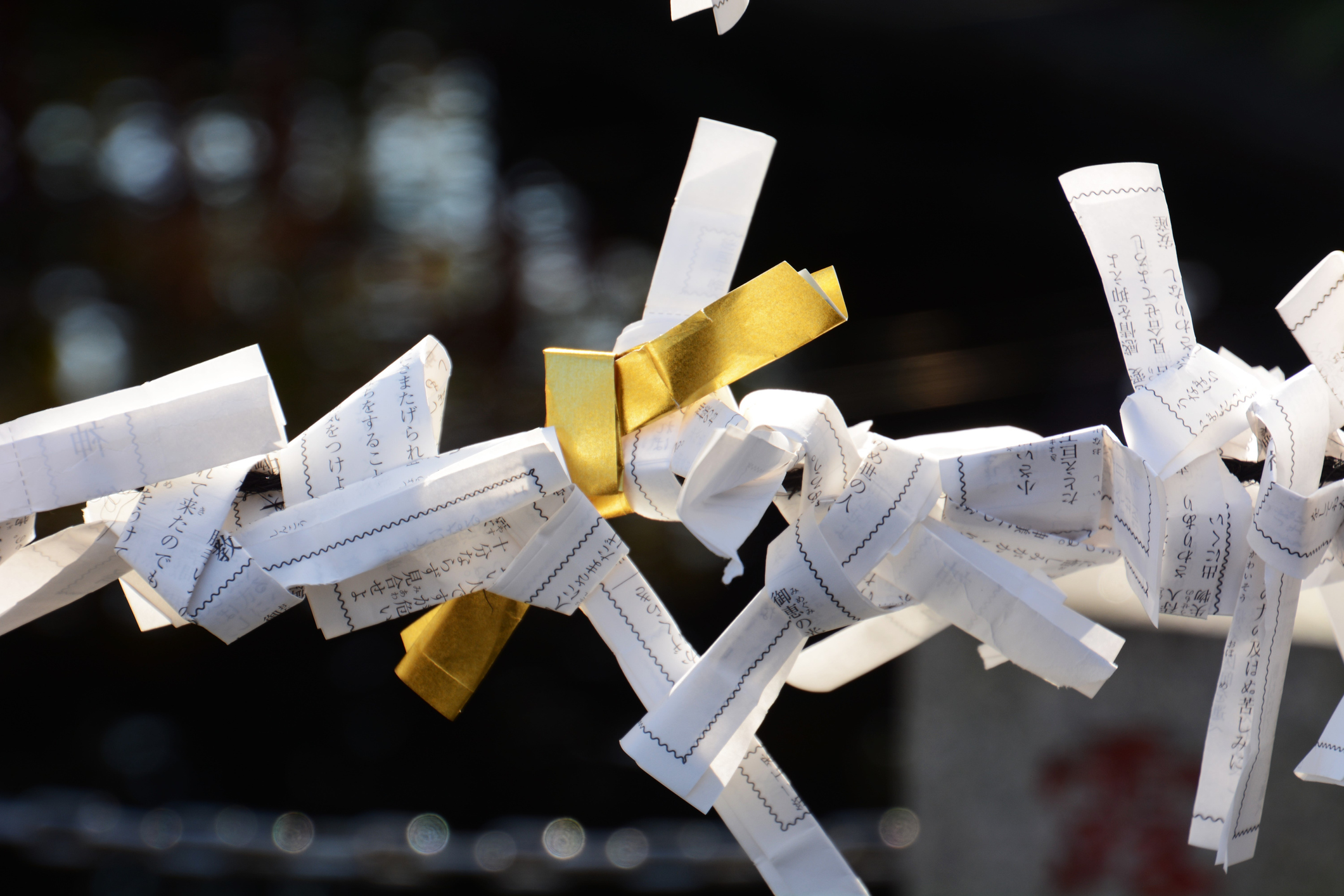 ハッチーのママ友倶楽部 No.67：初詣の前に！「おみくじの豆知識」ペットと暮らす・趣味を楽しむ家 八田建設注文住宅・ツリーハウス 長野県須坂市