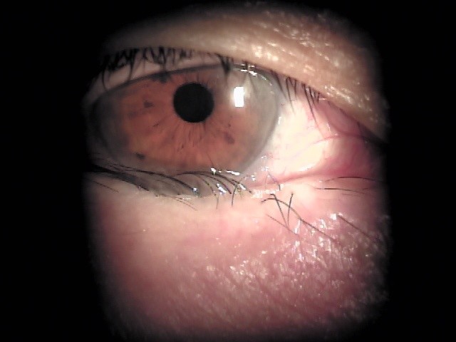 パリジェンヌラッシュリフトとは？まつ毛パーマと何の違いがあるのか？ - OMATSULI Group美容室パラッチ・エステモカ・通販サイトP&Mを展開