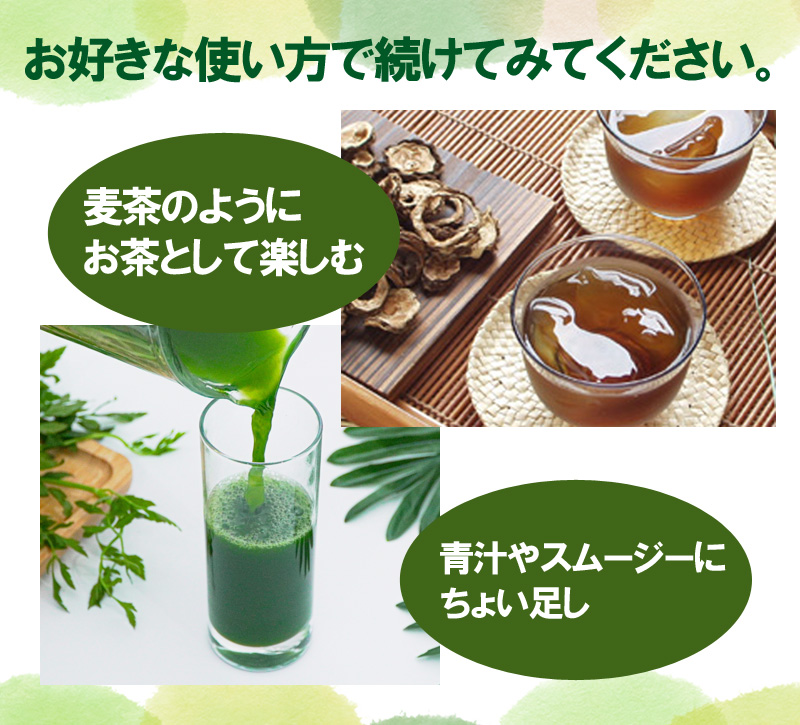 ゴーヤ茶 ゴーヤー茶 20ｇ 種入りゴーヤ茶 ゴーヤにがうり お茶 健康茶苦くない茶葉種 沖縄 お土産 みやげ比嘉製茶 ◎LPうちなー比嘉製茶楽天市場店