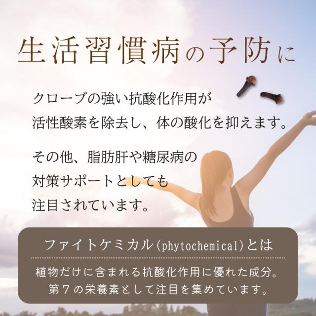 クローブ ホール オーガニック 無添加 ゴキブリ 対策 100g スリランカ 有機JAS スパイスカレー セイロン スパイス 香辛料