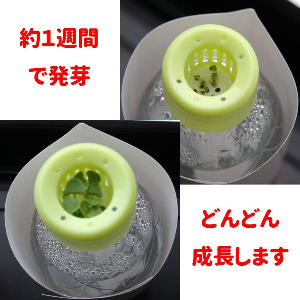 ITANSE 育てるグリーンペット スイートバジル ペットボトルで育てる水耕栽培セット 3個セット 送料無料 イタンセ公式 ITANSE 育てるグリーン ペット スイートバジル ペットボトルで育てる水耕栽培セット 1個 送料無料 イタンセ公式 : 野菜苗・植物・青果物販売の ITANSE