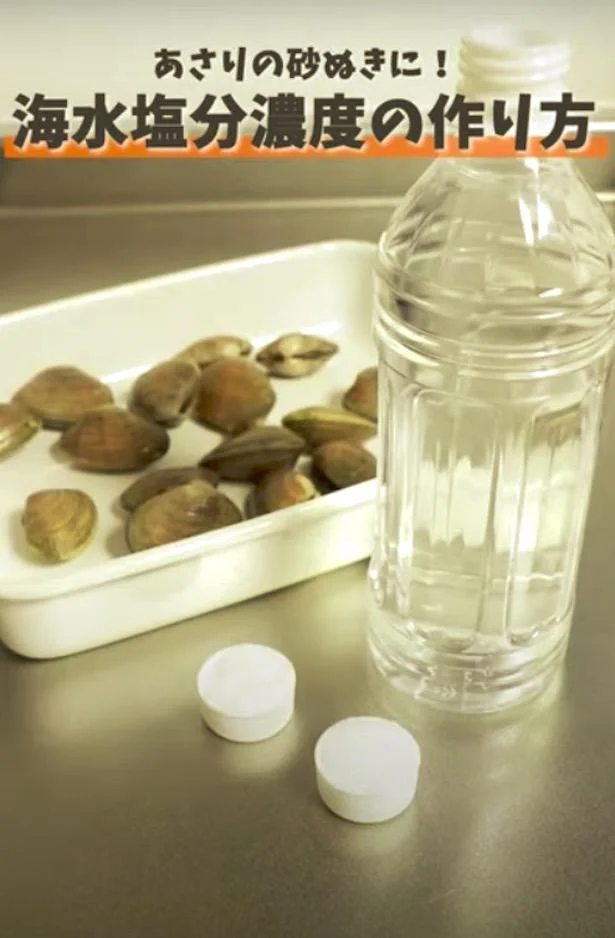 永久保存版・簡単「あさりの砂抜き」時短のコツ。意外な材料でうま味がアップする方法も！CBC MAGAZINE CBCマガジン