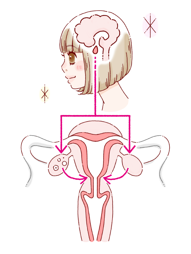 女性のからだ全書の通販 by KUROMIKETIBI's shopラクマ