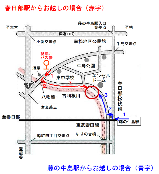 牛島古川公園】埼玉の穴場ひまわり畑～2024年最新の見頃情報～