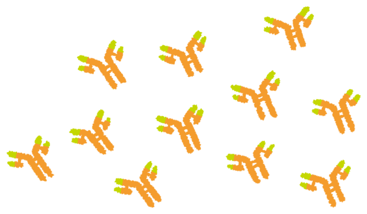 IgG1 抗体免疫グロブリンフラット アイコンのスタイル。多くのバイオ医薬品は抗体です。のイラスト素材・ベクター Image 58907703