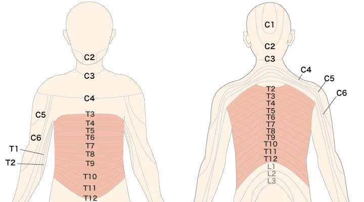耳が痛いのは帯状疱疹かも？耳帯状疱疹 ラムゼイ・ハント症候群 とはオンライン診療・服薬指導サービス SOKUYAKU ソクヤク