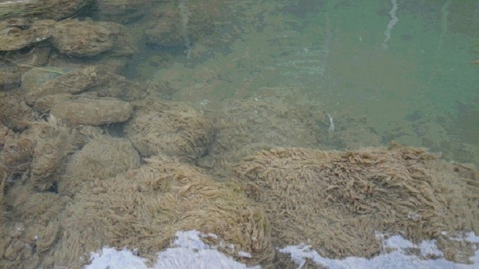 PowerPoint プレゼンテーション