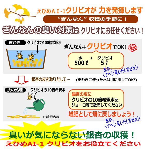 美味しいものにはクセがある！？銀杏 ぎんなん のお話一般財団法人 日本educe食育総合研究所
