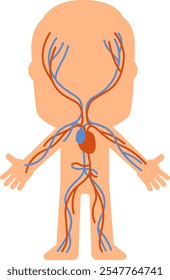 血液循環システム - 小さいのベクターアート素材や画像を多数ご用意 - 小さい, 血流, イラストレーション - iStock