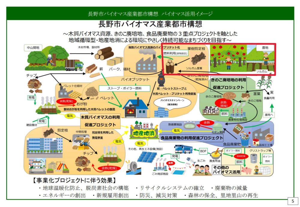 2 15 土果樹園 ぶどう剪定 公式 町田里山農の会