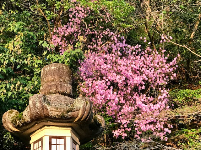 華は天命を診る 莉国後宮女医伝」小田菜摘角川文庫- KADOKAWA