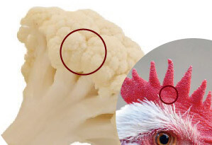 陰部のぶつぶつ、これって性病？ デキモノや症状から何の病気かを知る - GOETHE メンズクリニック