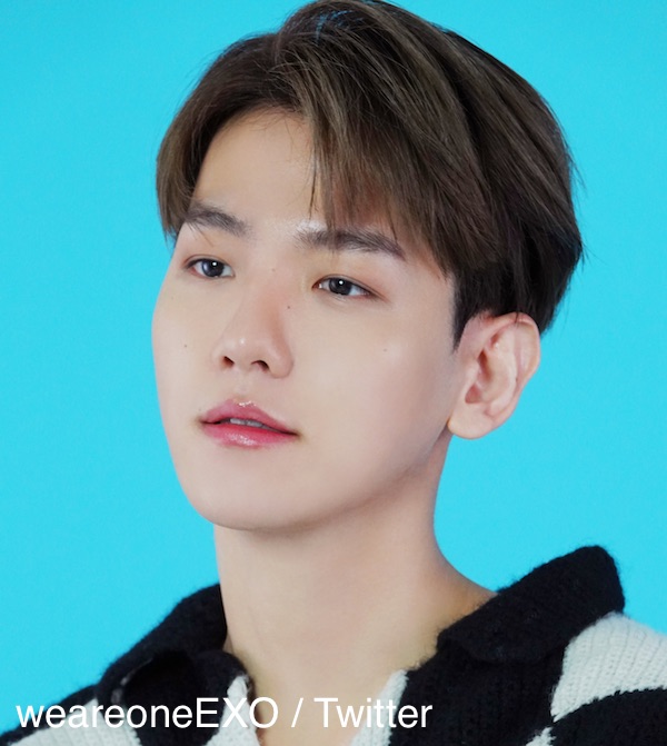 このK-POP美女の中で、すっぴんが一番綺麗だと思うのは誰？全体的にレベルを維持してると思う？ : r VindictaRateCelebs