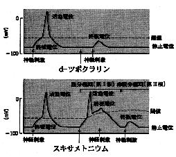 病気がみえる - チーム医療を担う医療人共通のテキスト