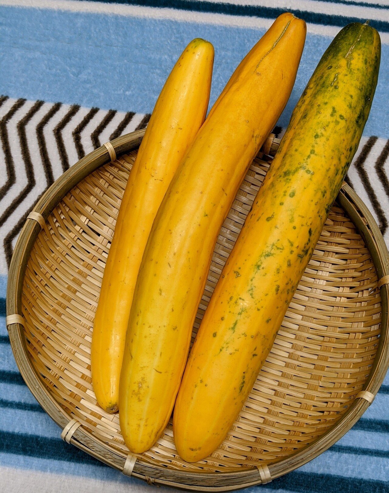 きゅうりを切ったら写真のように中が黄色かったのですが - 食べられますか？ - Yahoo!知恵袋