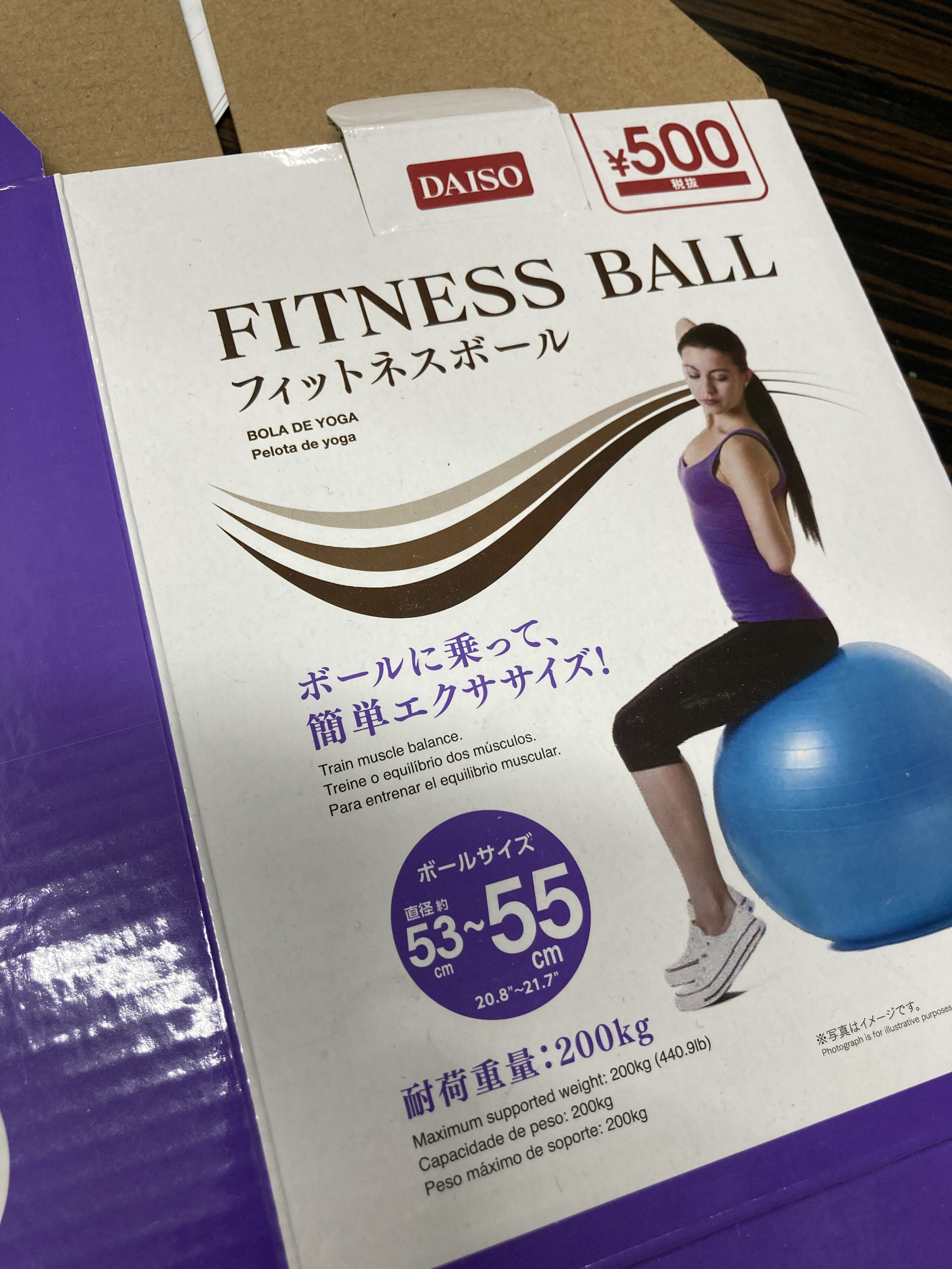 ダイソーのバランスボール 小 買ってみました - ろばの穴・別館 Annex