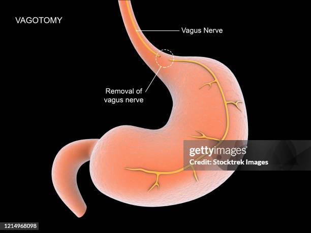 迷走神経反射になりやすい人の 特徴は、 ·若い女性 生理中もなりやすい·ストレスを感じやすい人 ·疲労が溜まってる人 ·立ち仕事を習慣としている人·睡眠が足りてない人 が多いそうです🥲 そして、次回つい最近、起きた 出来事描きます！ 泣泣