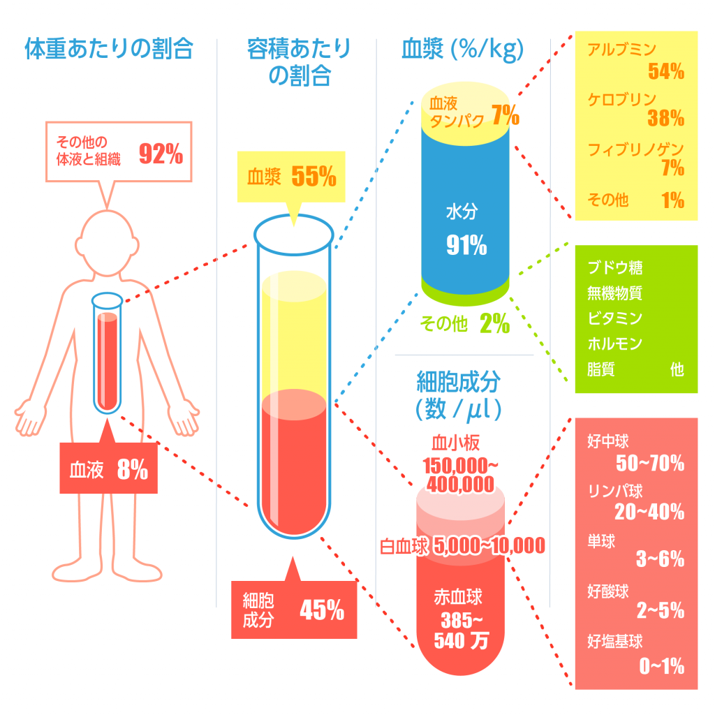 血球のはたらき～3種の血球と検査について～