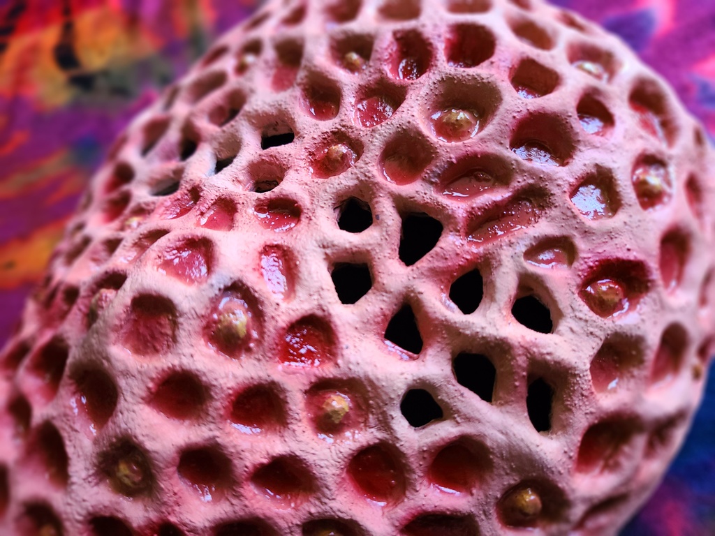 118.絶対に見ないでください！蓮コラ画像を並べてみた！丸武群＠峮峮 チュンチュン 応援note