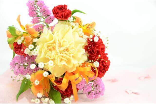 杉の花言葉花の意味と対応する誕生日・誕生花・あなたの性格Timeless Edition