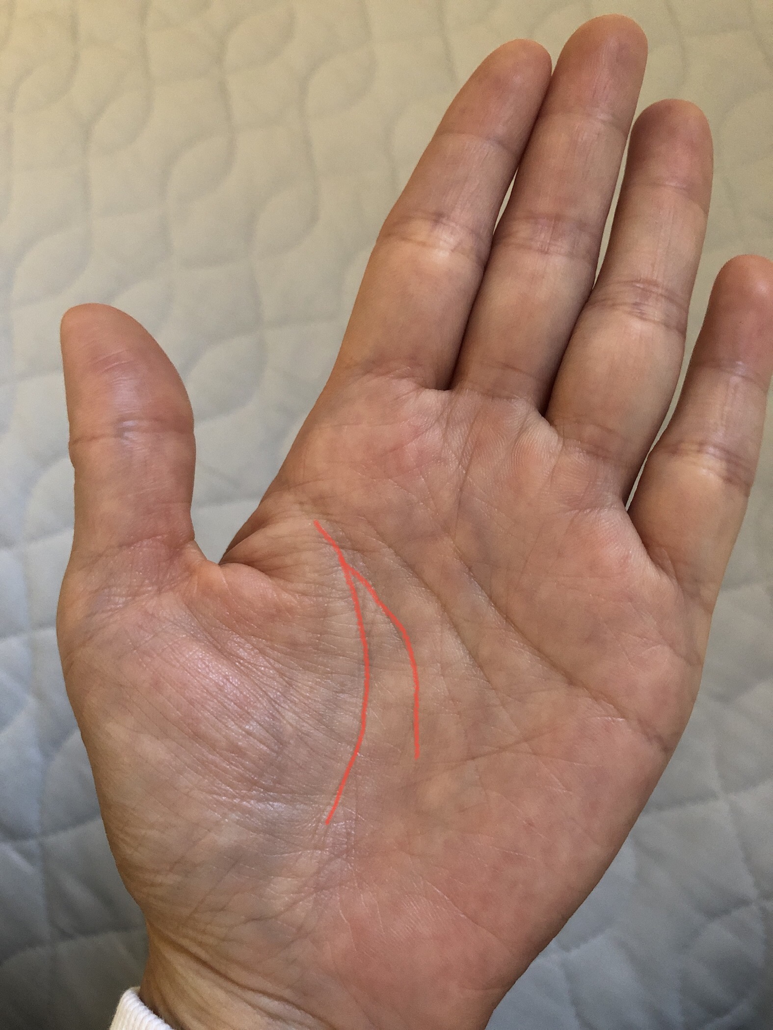 手相占い 生命力が二倍！？二重生命線が意味することとは