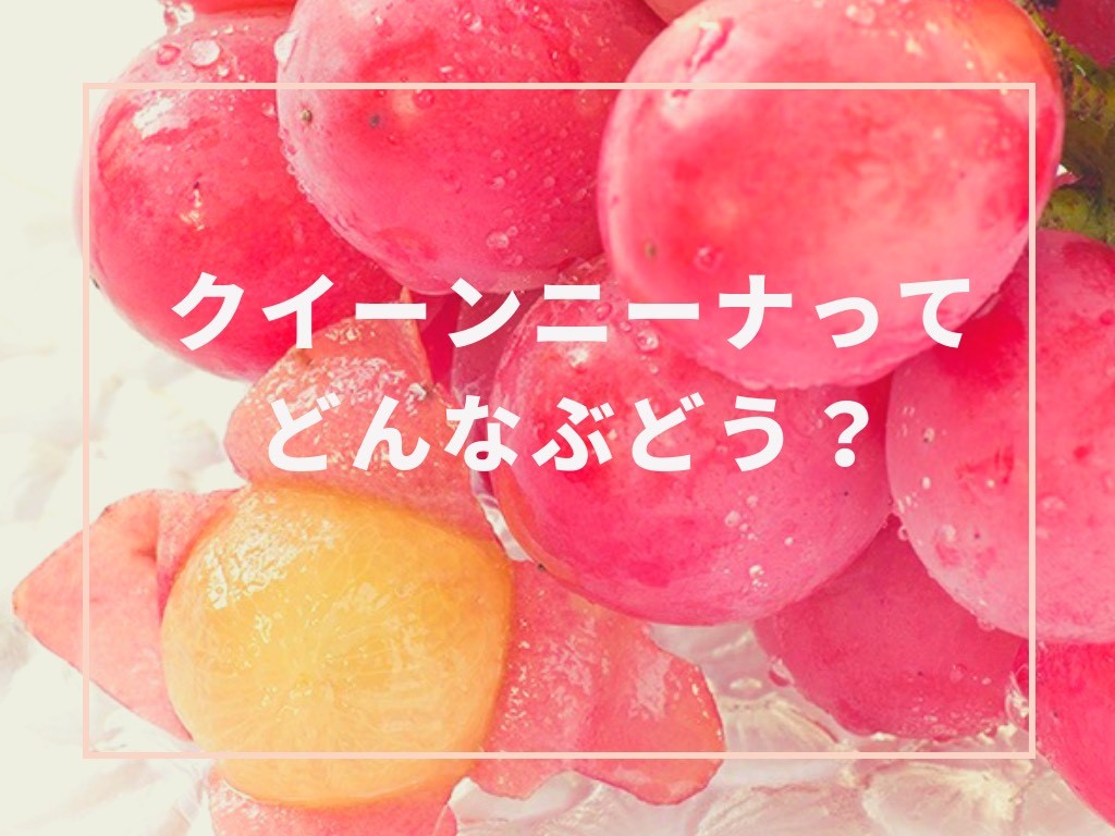 ダイエット・健康ふるさと納税シャインマスカット1房と季節のぶどう2房詰め合わせ 約1.8kg先行予約 果物 くだもの フルーツ ぶどうブドウ 葡萄 シャインマスカット 兵庫県 上郡町
