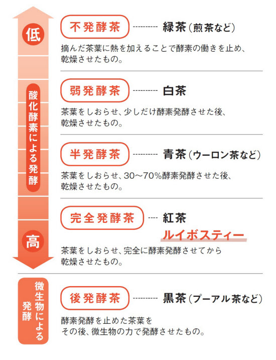 ルイボスティーはノンカフェイン？ ルイボスティーの効果や注意点を解説！│健達ねっと