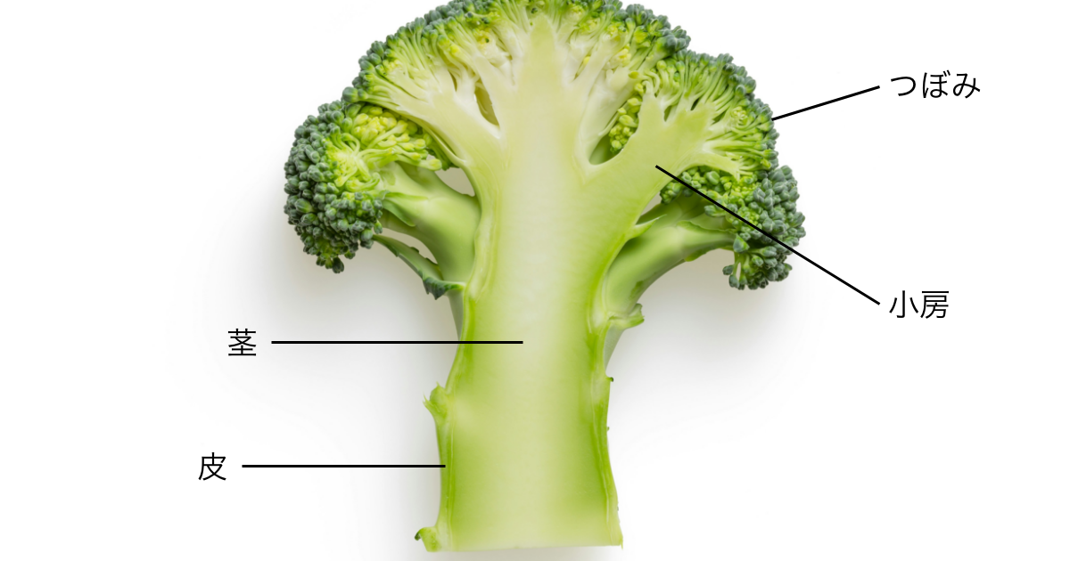 野菜のレンジ調理にオリーブオイルOlive Oil Life オリーブオイルライフ