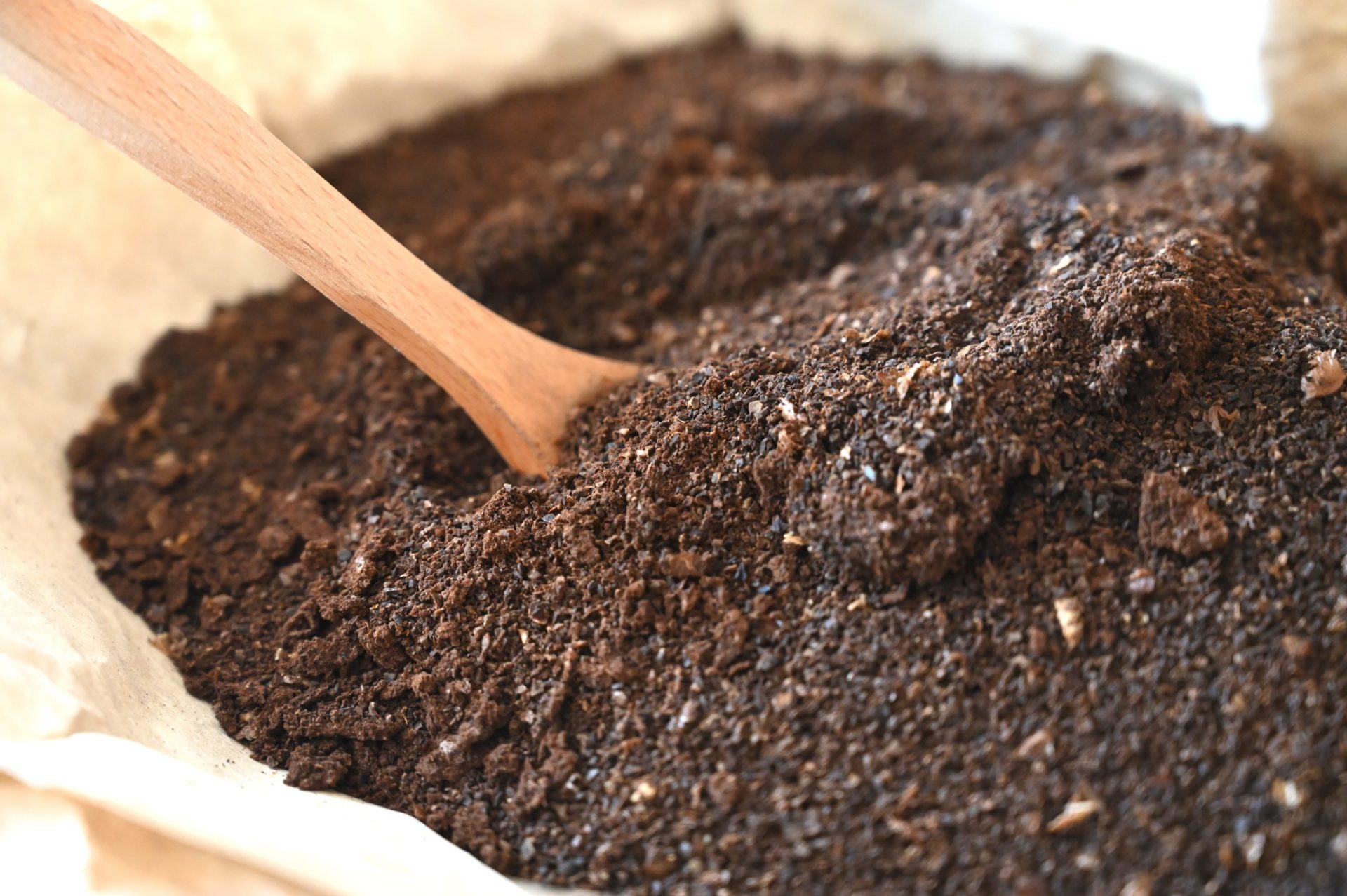 コーヒーかすでゴキブリ対策は逆効果かも 理由と本当にゴキブリが嫌うものおうち農園