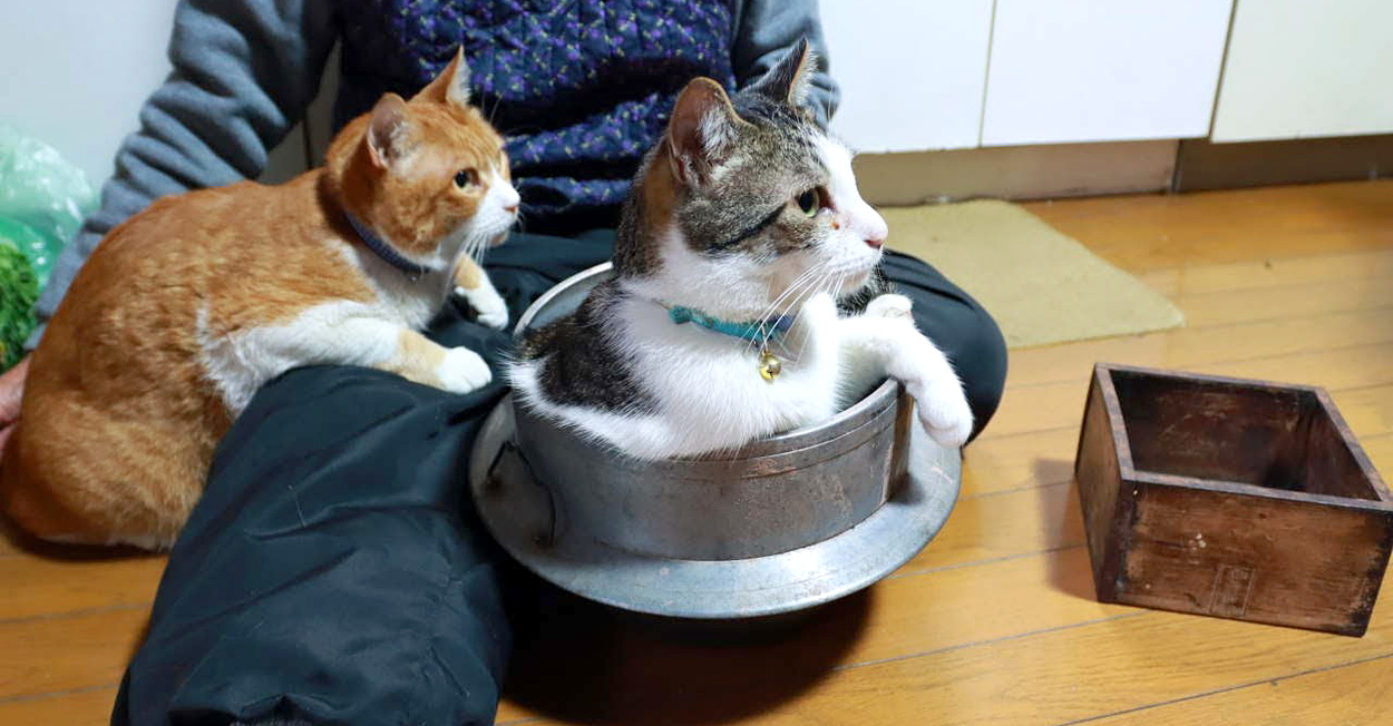 ふとした瞬間に虚しくなるのはなぜ？」虚しいと感じやすい場面と理由、解決法を解説