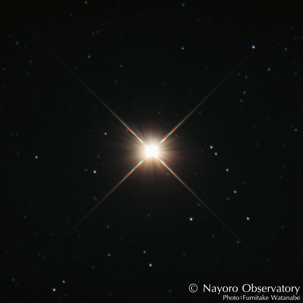 さそり座」の見つけ方や誰かに教えたくなる星の話 - 星座図鑑HondaキャンプHonda公式サイト