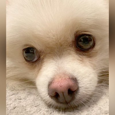 不安そうな表情で空を見上げる人々 イラスト素材6286642- フォトライブラリ