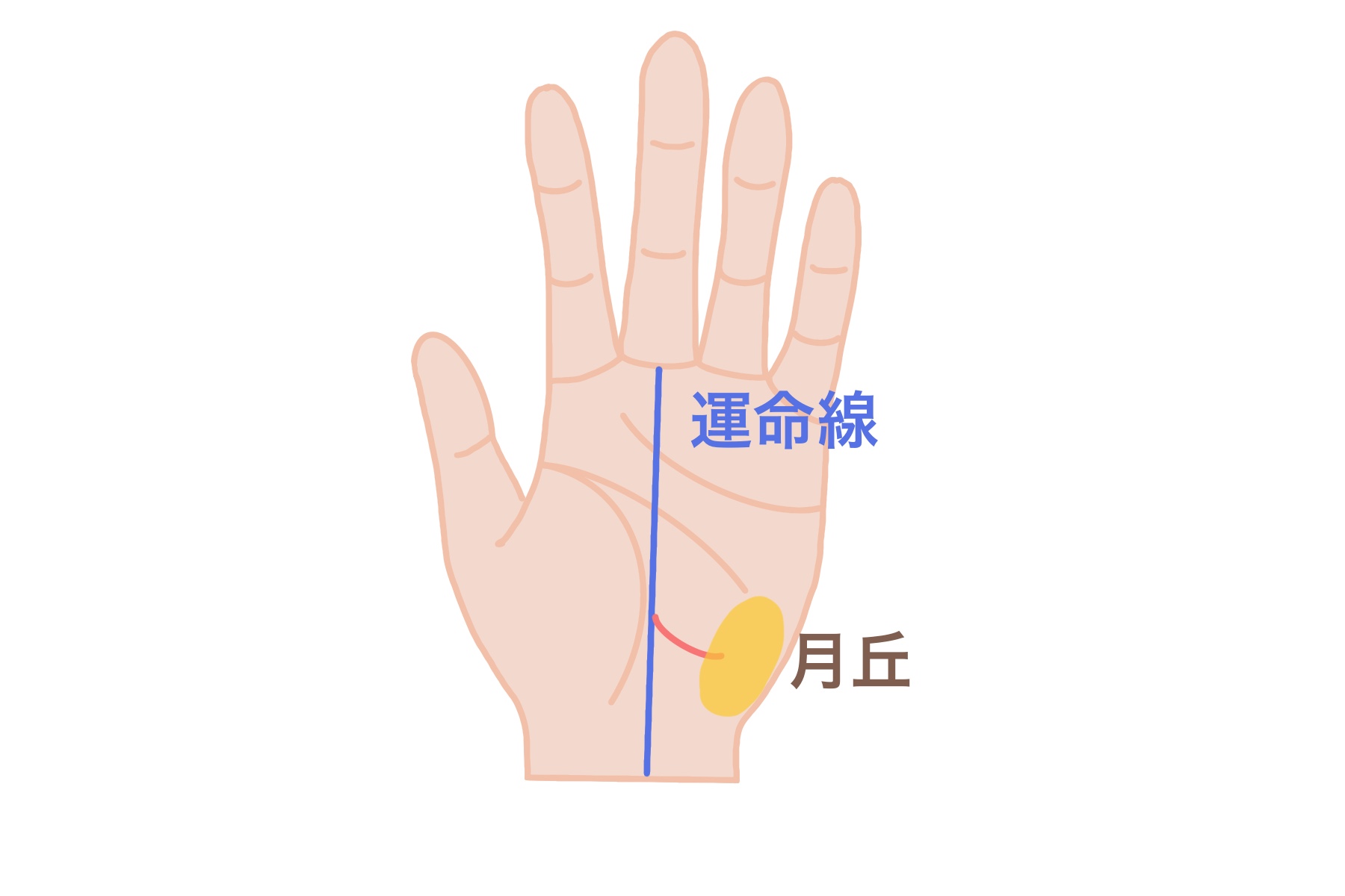 第2回 発見！琉球手相術の祖ぷらっと沖縄沖縄の「見たい」「楽しみたい」に応える地域密着型情報サイトです