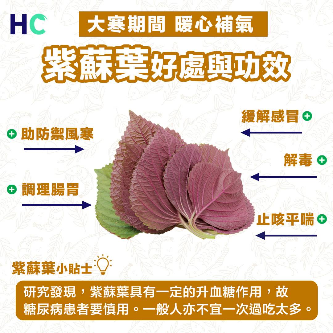 楽天市場 赤紫蘇 茶 効能の通販