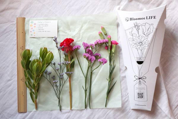全プランお試し ブルーミー bloomee の口コミ・評判レビュー - サブスクスタイル