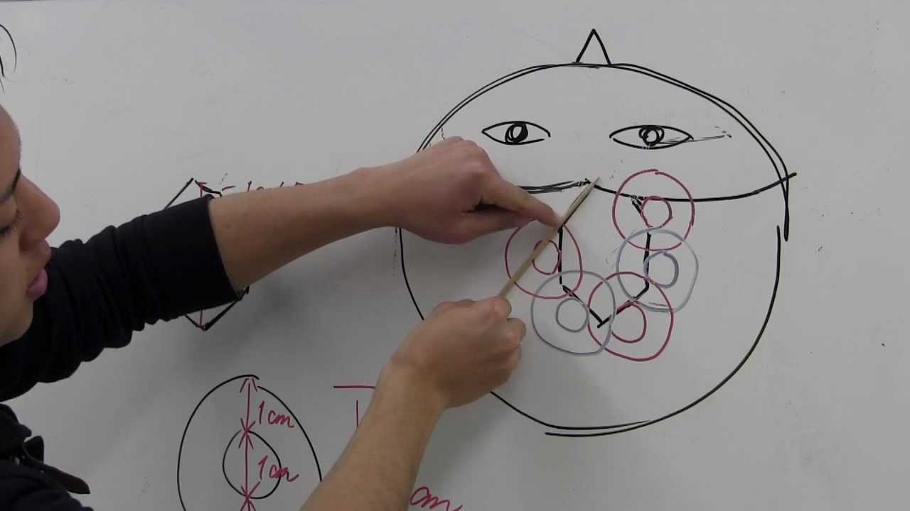 国家試験対策愛知県名古屋市専門学校エクラ 衛生文化科 衛生管理、美容のプロを目指す方へ