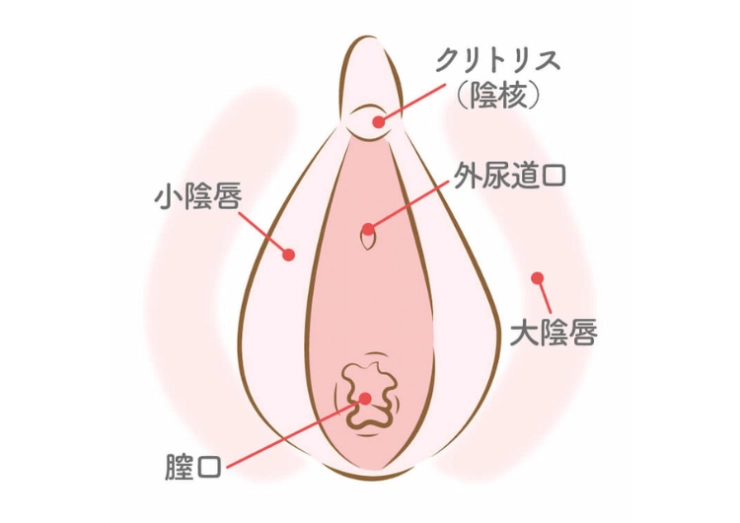 Amazon.co.jp: 愛する夫のテクよりも100倍気持ちいい膣内オイルマッサージの虜になった豊満ボディ妻 