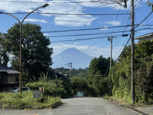 熱海梅園からの帰りに富士山』函南(静岡県)の旅行記・ブログ by ゆっきさん【フォートラベル】