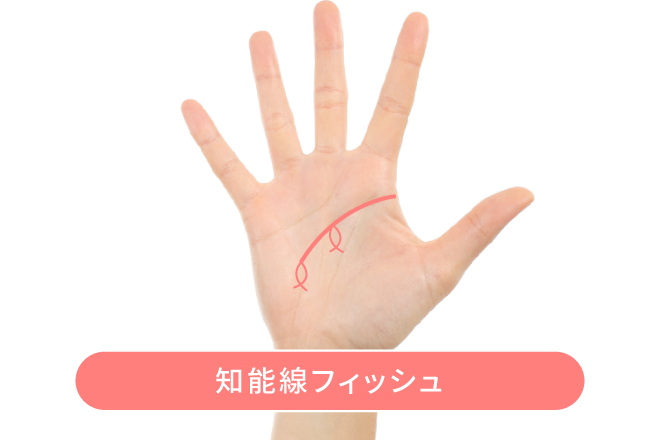 影響線手相占いの見方や意味まとめ！運命の出会いはいつ？ - 電話占いおすすめ情報比較サイトキャラミル研究所