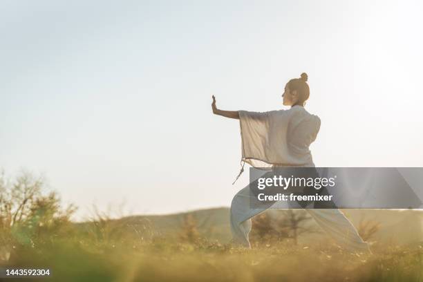 太極拳」の写真素材27,357件の無料イラスト画像Adobe Stock
