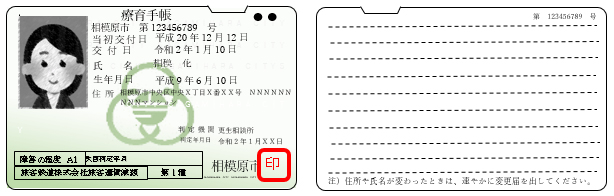 身体障害者手帳交付涙くまミミと姫の ゆっくり歩こう 〜レット症候群 最重度知的障害 肢体不自由 てんかん など併せ持つ娘とママの日々