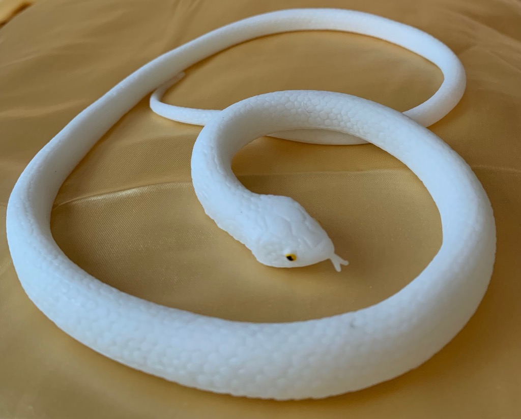 金運をもたらす「蛇」の縁起やスピリチュアルな意味とは