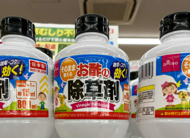 たった100円で手間軽減？！ ダイソー の「お酢の除草剤」を試してみた4yuuu