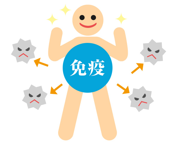 イラストで分かる！. ‪「液性免疫と細胞性免疫」‬ . ‪違いが分からない人へ。‬ .ゴロ勉_免疫系免疫 ＃細胞性免疫 ＃液性免疫 ＃抗体解剖生理LINEやってますパッと見で分かる解剖学生理学解剖生理学勉強法解剖生理ゴロー暗記鍼灸科ptの卵otの